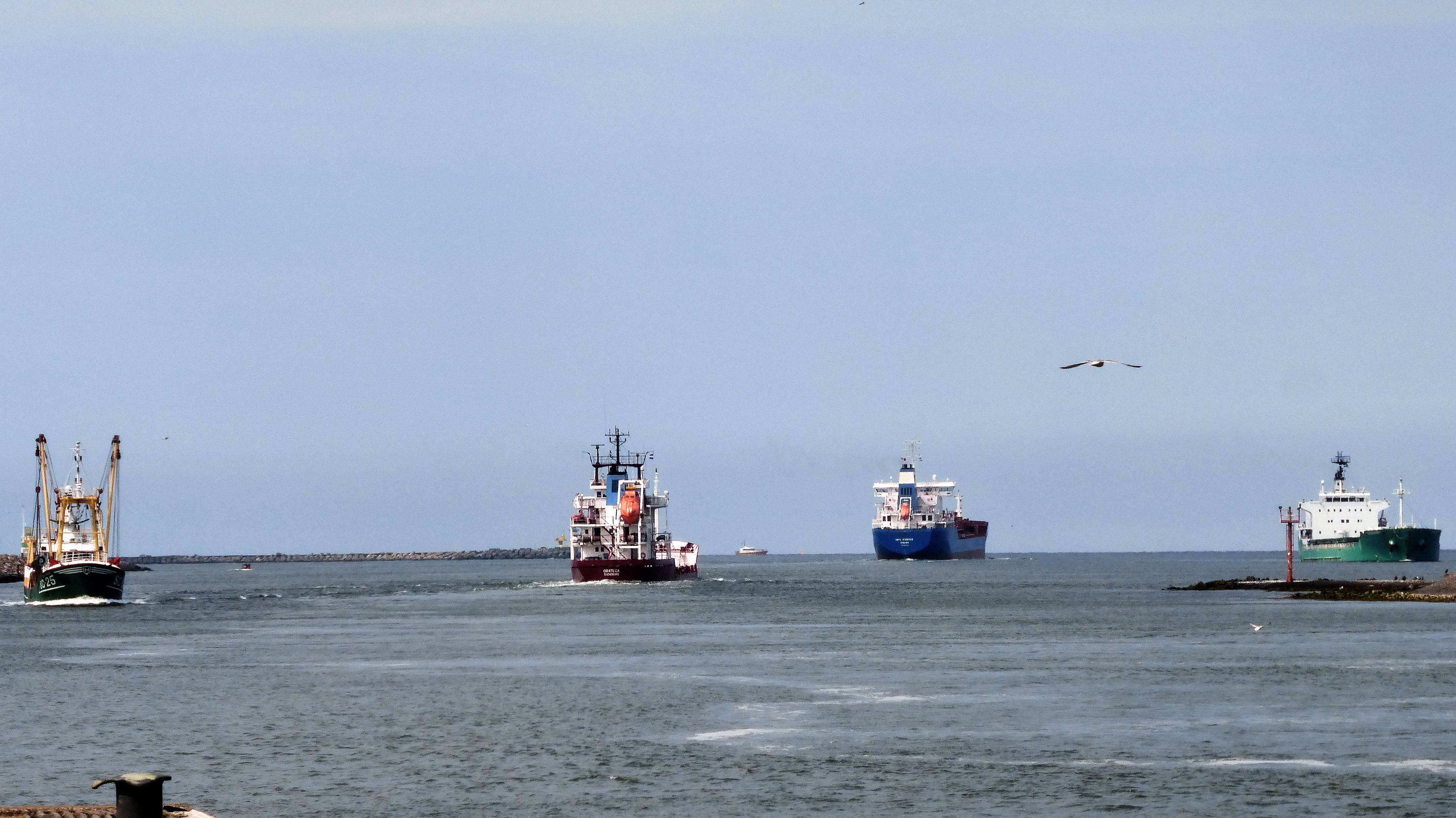 Pieren IJmuiden 06-07-18 